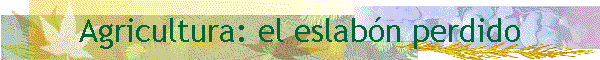 Agricultura: el eslabn perdido