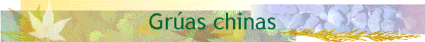 Gras chinas
