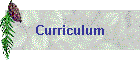 Curriculum