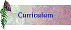 Curriculum